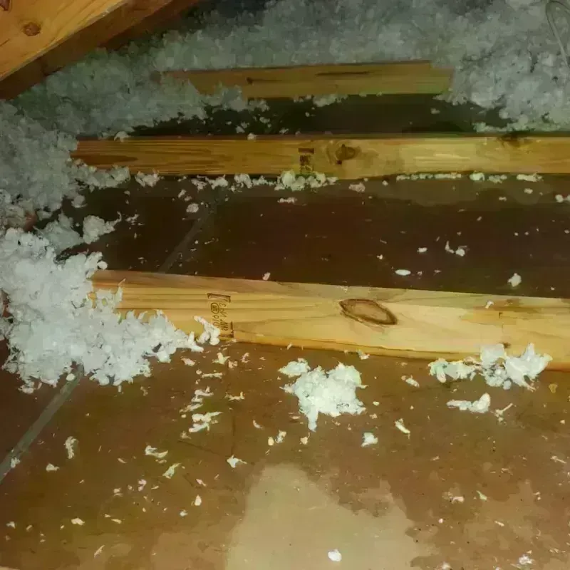 Attic Water Damage in Slayton, MN