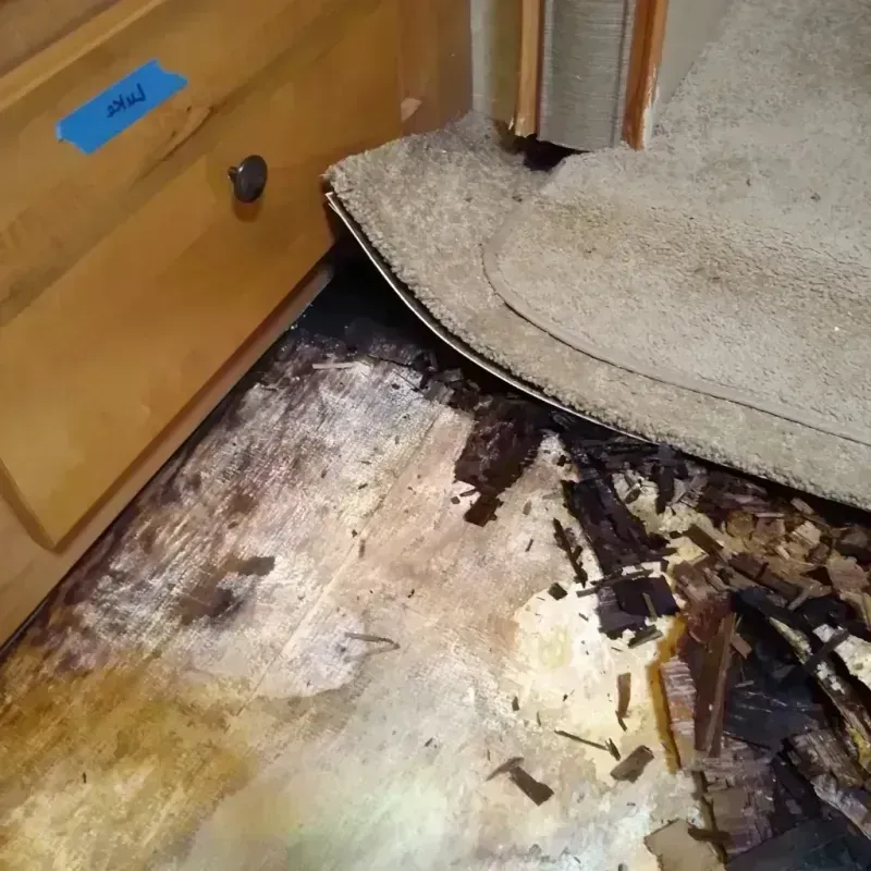 Best Wood Floor Water Damage Service in Slayton, MN